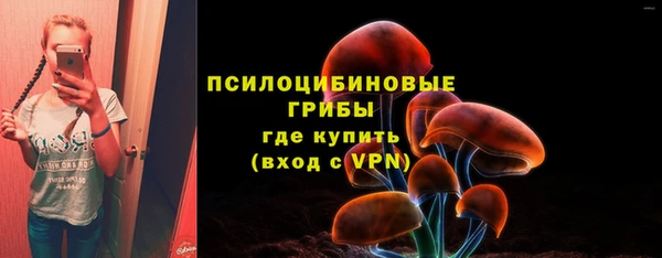 ALPHA PVP Мегион