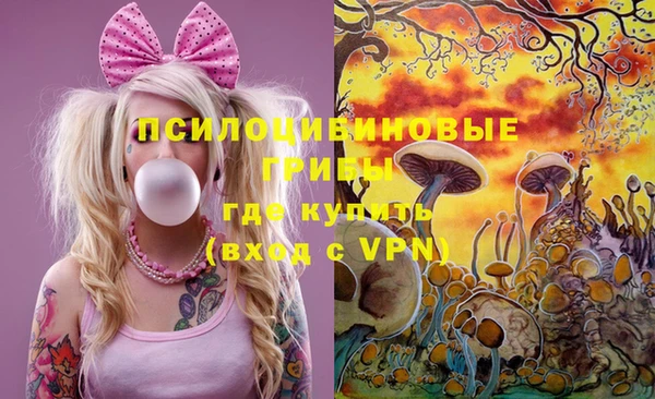 a pvp Медногорск